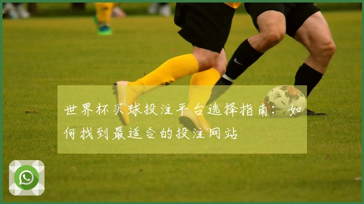 世界杯买球投注平台选择指南：如何找到最适合的投注网站