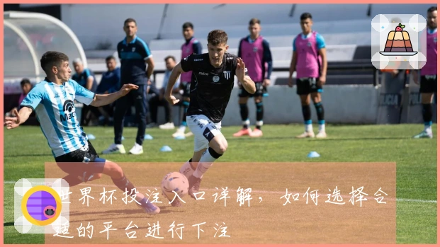 世界杯投注入口详解，如何选择合适的平台进行下注