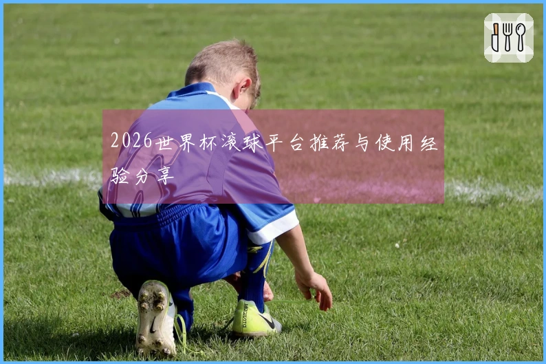 2026世界杯滚球平台推荐与使用经验分享