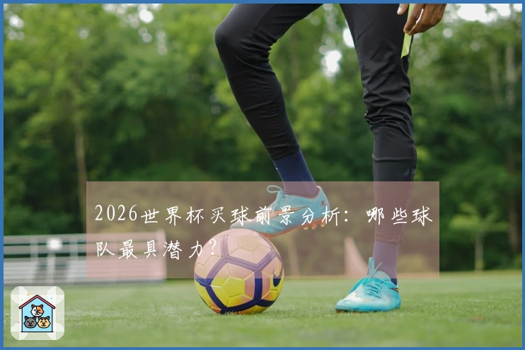 2026世界杯买球前景分析：哪些球队最具潜力？