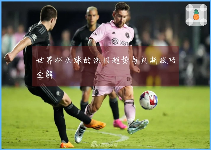 世界杯买球的热门趋势与判断技巧全解