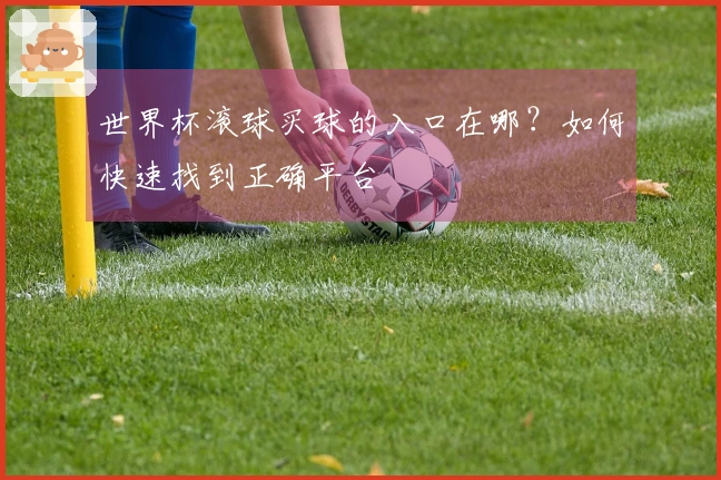 世界杯滚球买球的入口在哪？如何快速找到正确平台