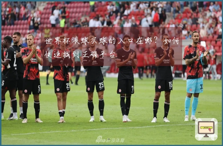 世界杯滚球买球的入口在哪？如何快速找到正确平台